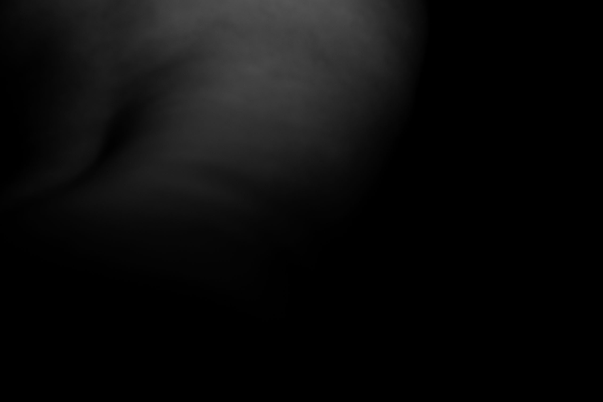 _DSC1212